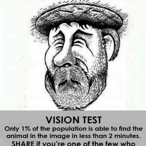 Meet your Posher, Dakota